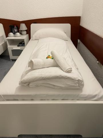 Hotel Starlight 美因河畔法兰克福 外观 照片
